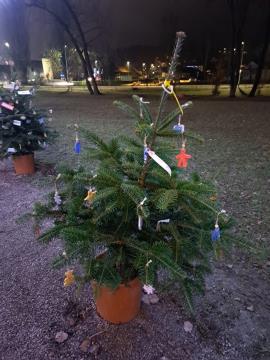 PRAZNIČNA OBČINA ŠKOFLJICA: lokalne skupnosti so okrasile smrečice v drevoredu pri zunanjem igrišču OŠ Škofljica